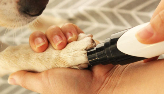 1 Rechargeable Professional Dog Nail Grinder