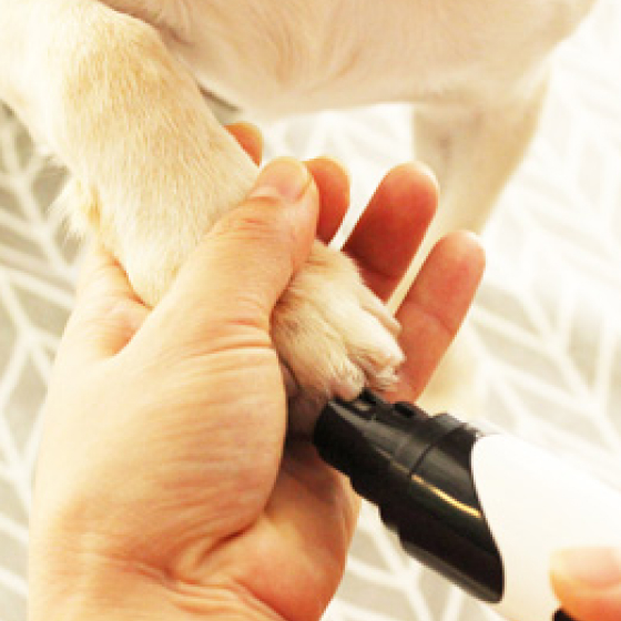 5 Rechargeable Professional Dog Nail Grinder